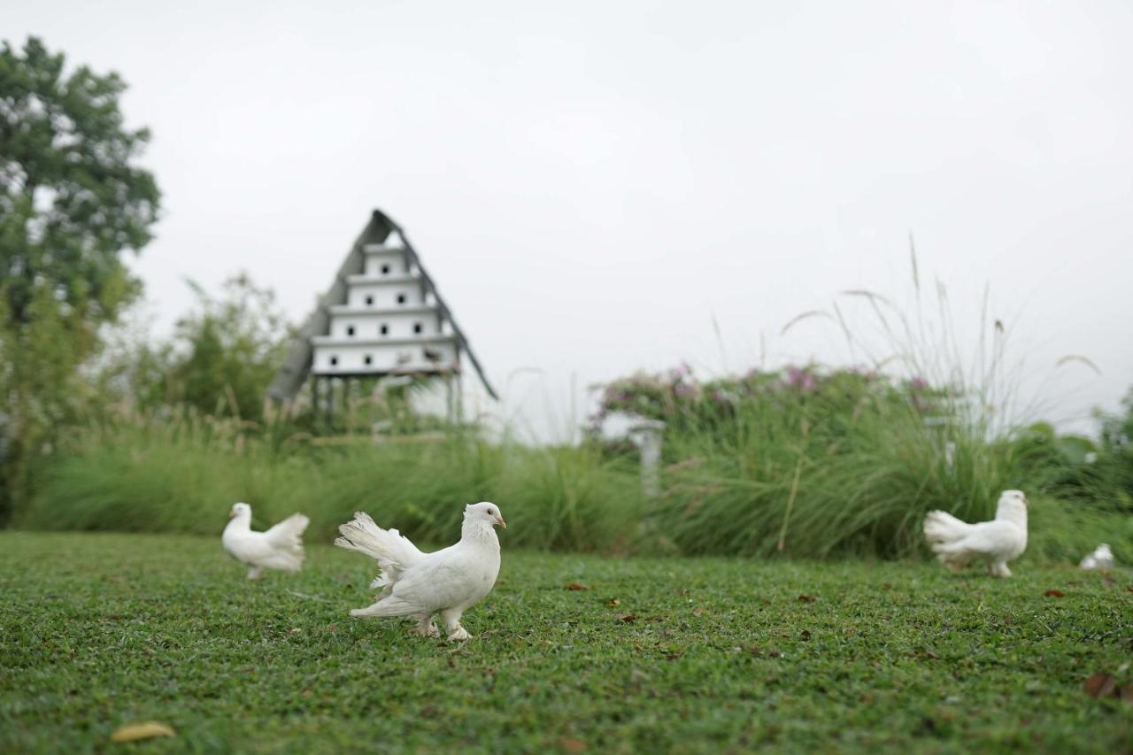 Abhayagiri - Sumberwatu Heritage Resort Randugunting Exterior foto